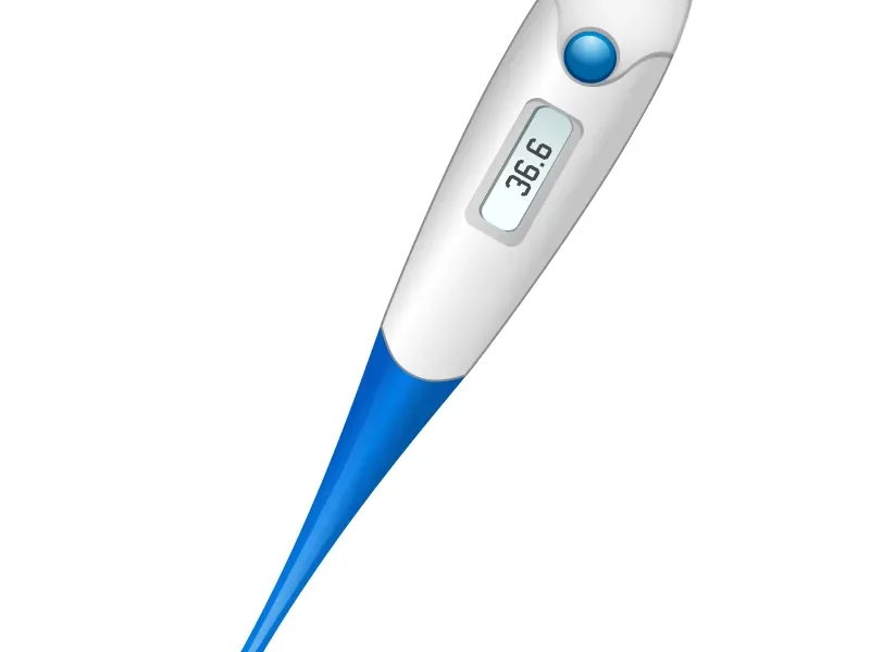 PT-P01A Electronic Thermometer