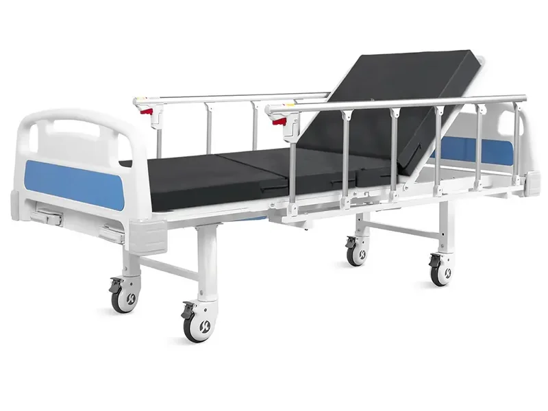 Two Functions Electric Bed