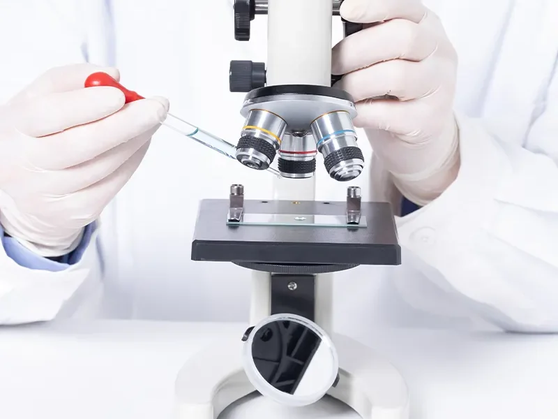 CX31 Research Microscope